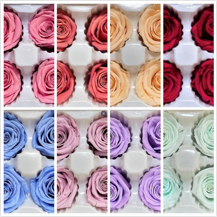 [SG ] Grade B Preserved Roses 4–5cm | 8pcs/Box for DIY | DreamGarden SG