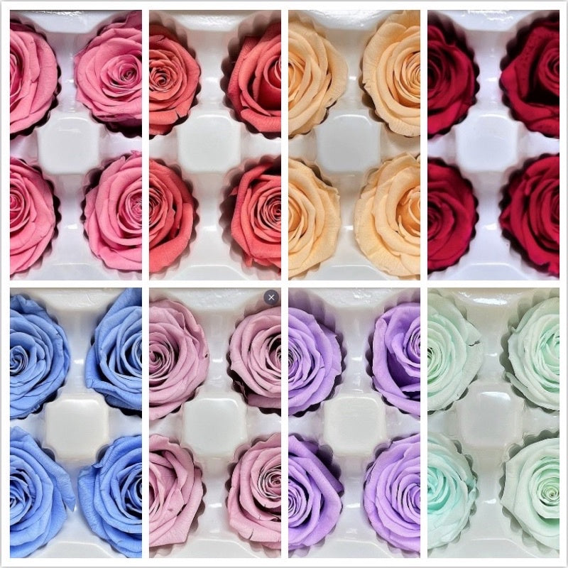 [SG Ready Stock] Grade B Preserved Roses 4–5cm | 8pcs/Box for DIY Bouquets & Floral Crafts