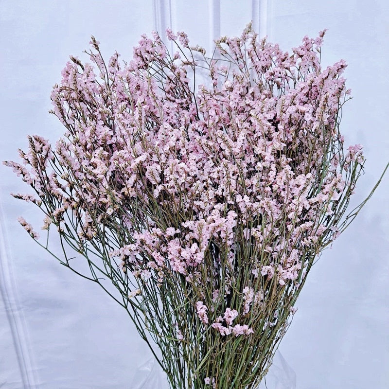 🇸🇬[SG Stock]Preserved Flowers Preserved Limonium Preserved Caspia Singapore Local Home Decoration/DIY/Wedding
