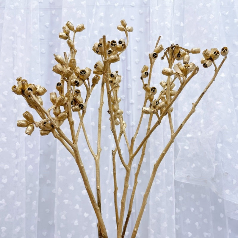 🇸🇬[SG Stock]Christmas Golden Fruit Eucalyptus Fruit,Button Fruit,Filbert,Hazel,Pine Cone,Dried Fruit Preserved Flower
