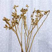 Christmas Golden Fruit Eucalyptus Fruit,Button | DreamGarden SG