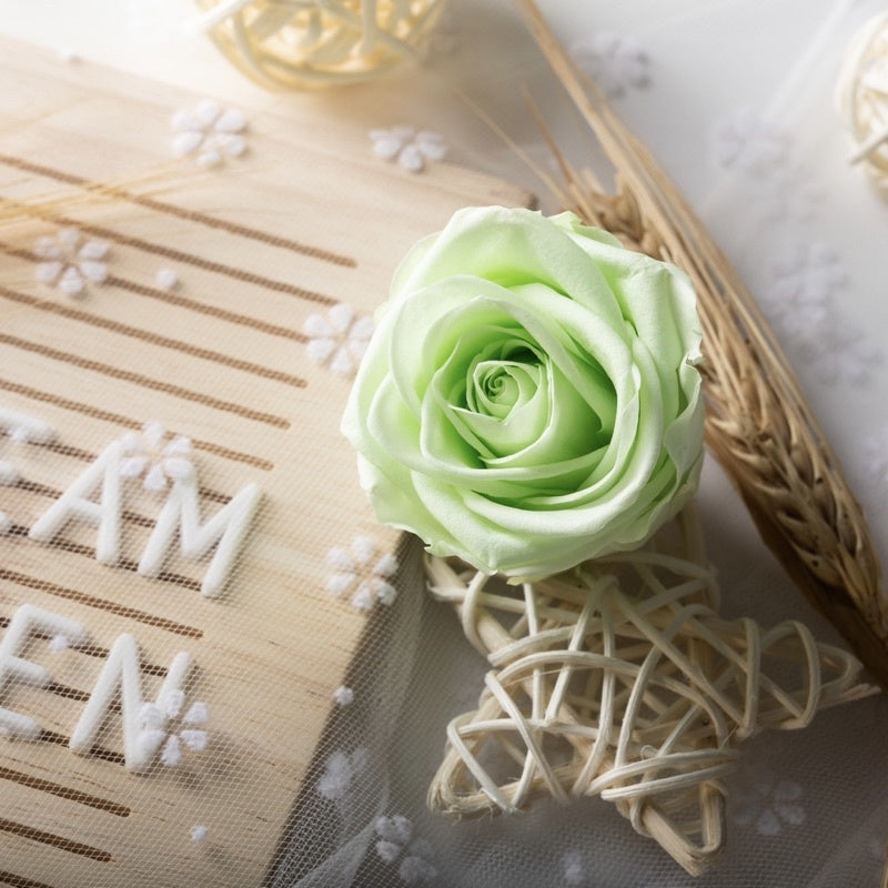 [SG Ready Stock] Grade B Preserved Roses 4–5cm | 8pcs/Box for DIY Bouquets & Floral Crafts