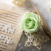 [SG ] Grade B Preserved Roses 4–5cm | 8pcs/Box for DIY | DreamGarden SG