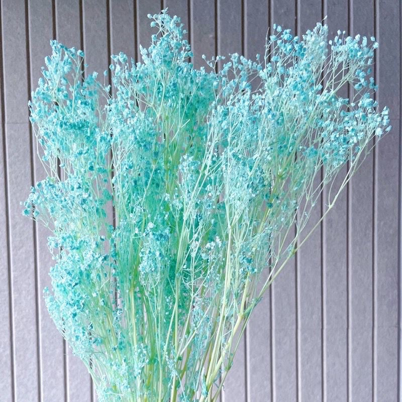 🇸🇬[SG Stock] SG Local Wholesaler Preserved White Baby Breath Preserved Flowers Suitable For Decoration/Wedding/DIY/Dome