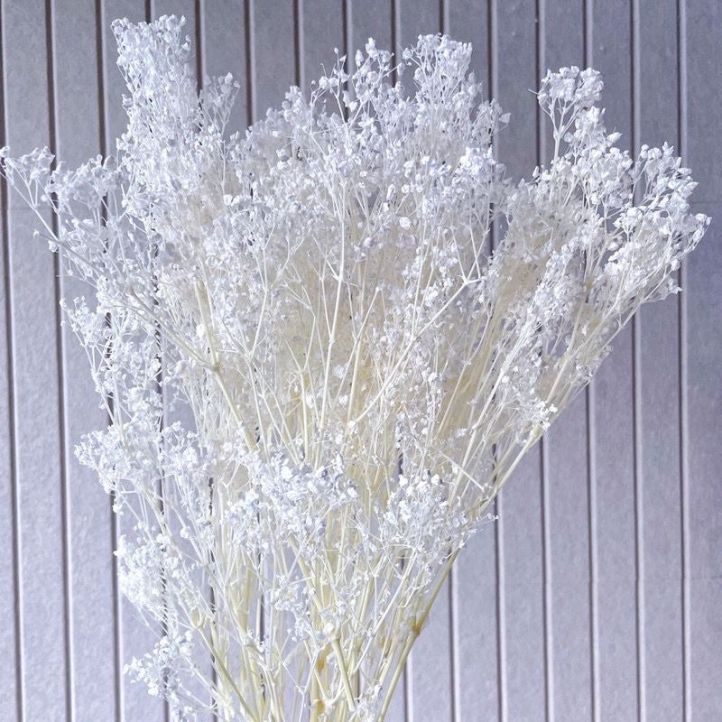 🇸🇬[SG Stock] SG Local Wholesaler Preserved White Baby Breath Preserved Flowers Suitable For Decoration/Wedding/DIY/Dome