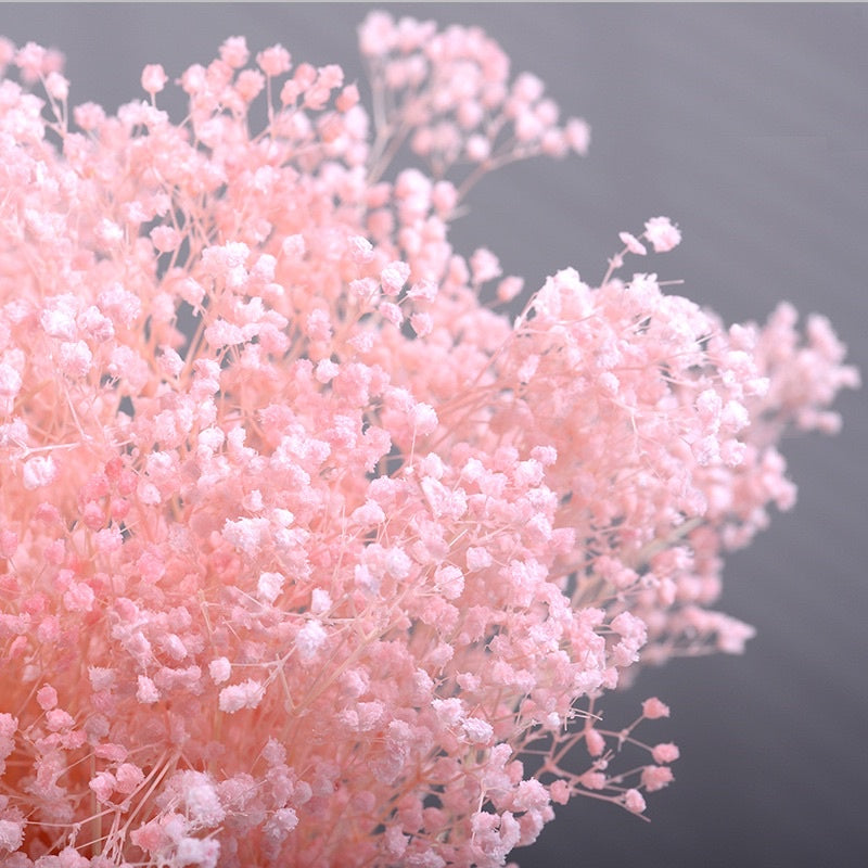 🇸🇬[SG Stock] SG Local Wholesaler Preserved White Baby Breath Preserved Flowers Suitable For Decoration/Wedding/DIY/Dome