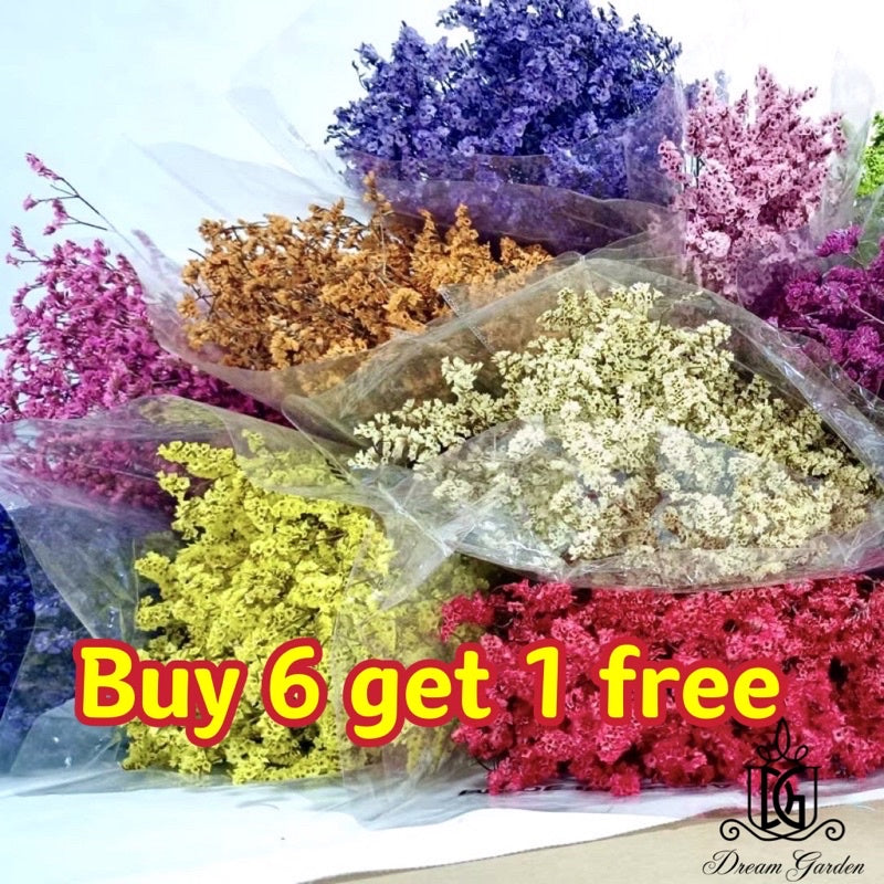 🇸🇬[SG Stock]Preserved Flowers Preserved Limonium Preserved Caspia Singapore Local Home Decoration/DIY/Wedding