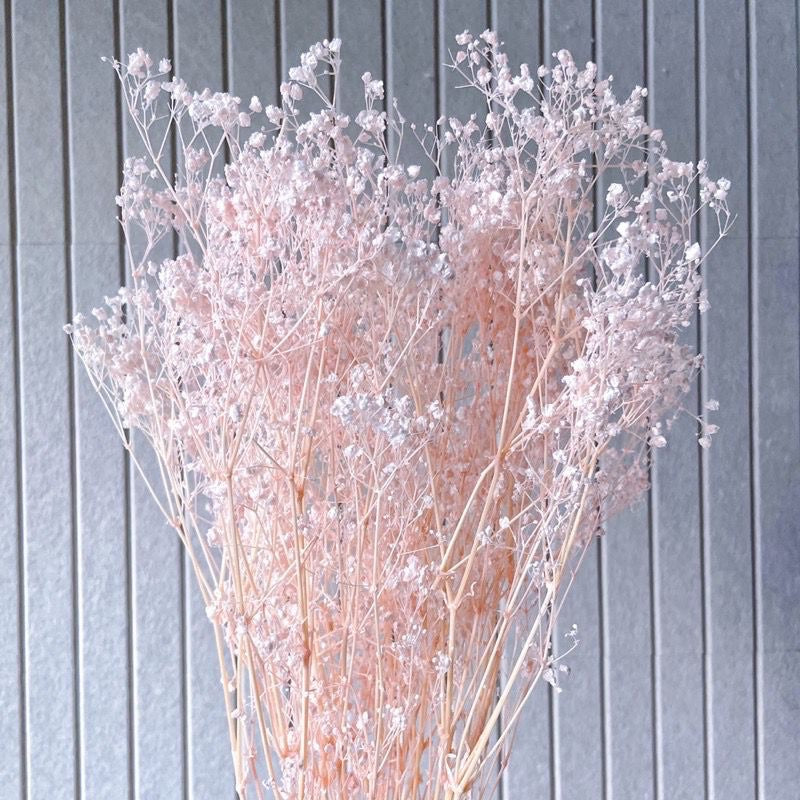 🇸🇬[SG Stock] SG Local Wholesaler Preserved White Baby Breath Preserved Flowers Suitable For Decoration/Wedding/DIY/Dome