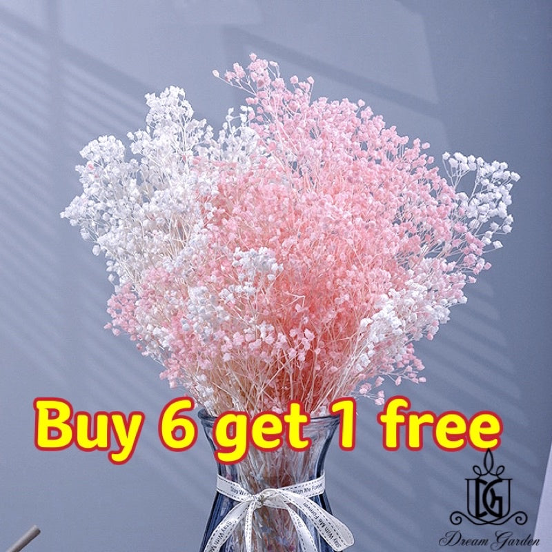 🇸🇬[SG Stock] SG Local Wholesaler Preserved White Baby Breath Preserved Flowers Suitable For Decoration/Wedding/DIY/Dome