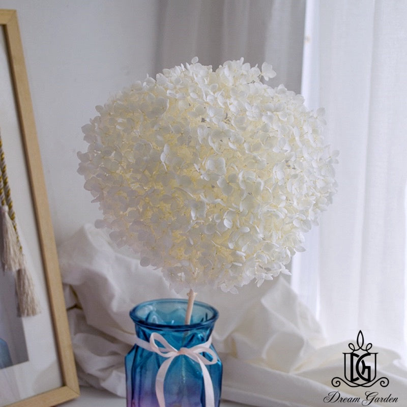 🇸🇬[SG Stock]Preserved Flowers Dried Flowers Preserved Hydrangeas Singapore Local Wholesalers Home Decoration/DIY/Wedding
