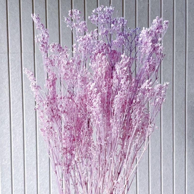 🇸🇬[SG Stock] SG Local Wholesaler Preserved White Baby Breath Preserved Flowers Suitable For Decoration/Wedding/DIY/Dome