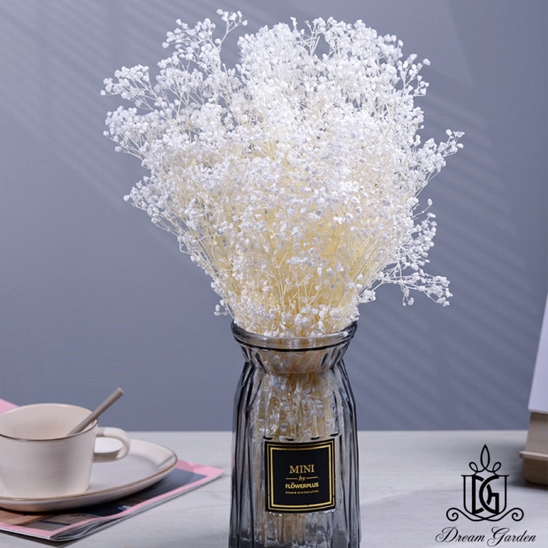 🇸🇬[SG Stock] SG Local Wholesaler Preserved White Baby Breath Preserved Flowers Suitable For Decoration/Wedding/DIY/Dome
