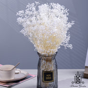 Preserved White Baby Breath | DreamGarden SG