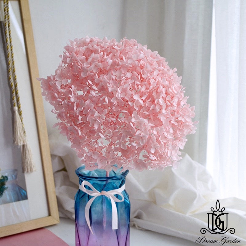 🇸🇬[SG Stock]Preserved Flowers Dried Flowers Preserved Hydrangeas Singapore Local Wholesalers Home Decoration/DIY/Wedding