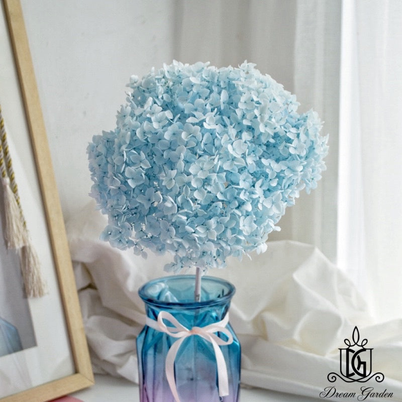 🇸🇬[SG Stock]Preserved Flowers Dried Flowers Preserved Hydrangeas Singapore Local Wholesalers Home Decoration/DIY/Wedding