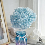 Preserved Hydrangeas | DreamGarden SG