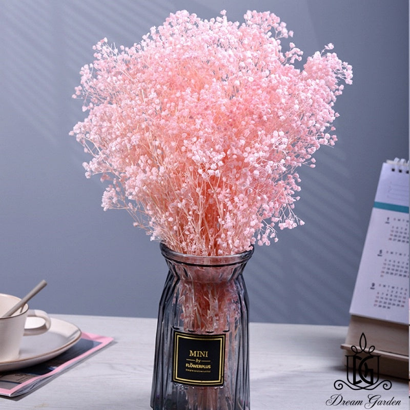 🇸🇬[SG Stock] SG Local Wholesaler Preserved White Baby Breath Preserved Flowers Suitable For Decoration/Wedding/DIY/Dome
