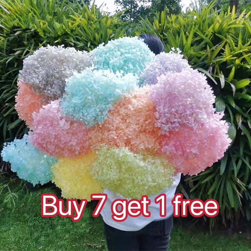 🇸🇬[SG Stock]Preserved Flowers Dried Flowers Preserved Hydrangeas Singapore Local Wholesalers Home Decoration/DIY/Wedding