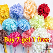 Preserved Flowers Grade A Preserved Hydrangea 2 | DreamGarden SG