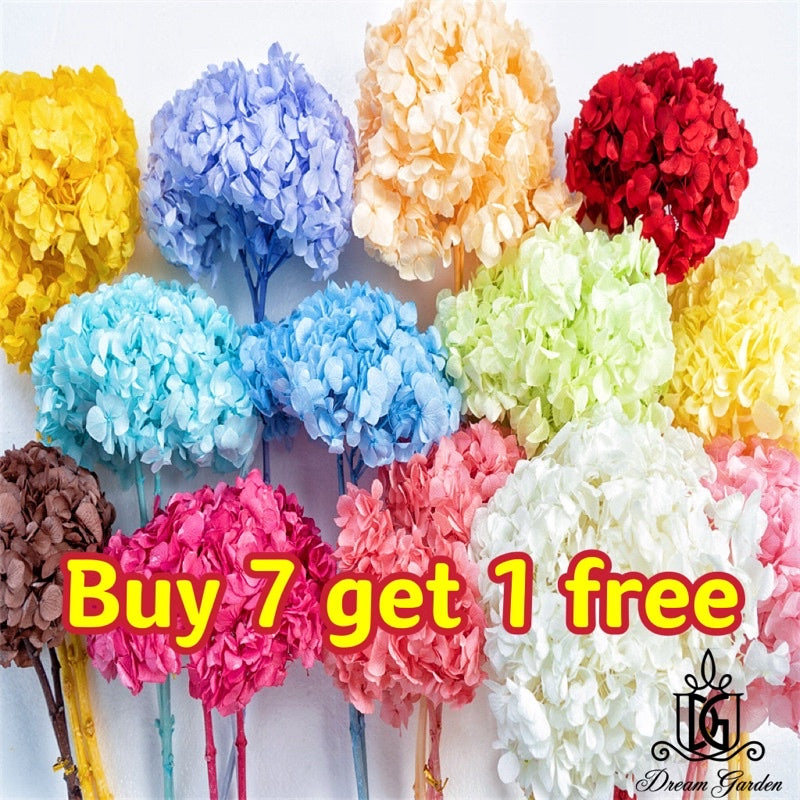 🇸🇬[SG Stock]Preserved Flowers Grade A Preserved Hydrangea Singapore Local Wholesalers Home Decoration/DIY/Wedding