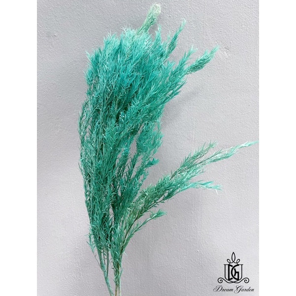 🇸🇬[SG Stock] SG Local Largest Wholesaler Preserved Melaleuca Bundle bracteata Suitable For Decoration/Wedding/DIY/Dome