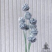 Dried Flowers Dried Pine Cone | DreamGarden SG