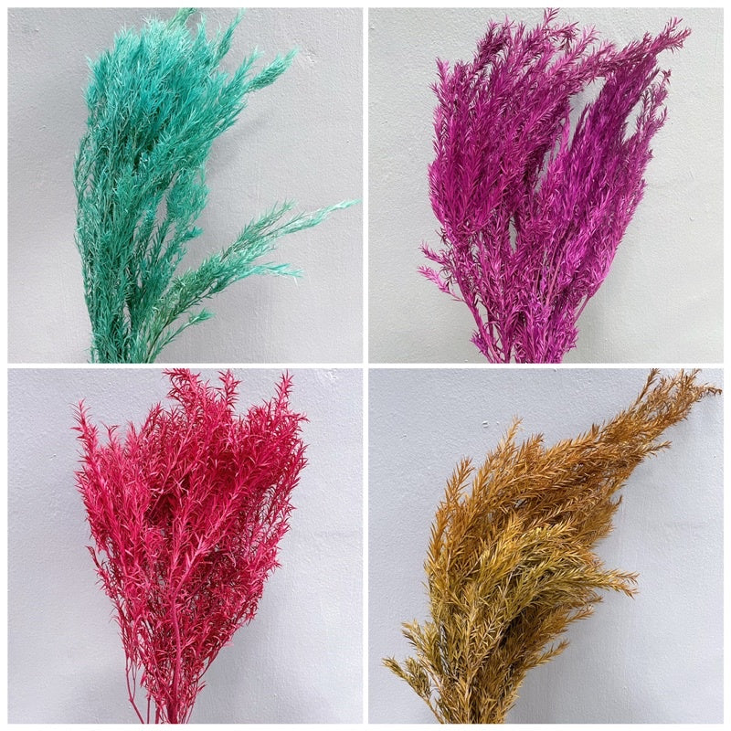🇸🇬[SG Stock] SG Local Largest Wholesaler Preserved Melaleuca Bundle bracteata Suitable For Decoration/Wedding/DIY/Dome