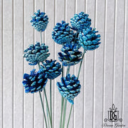 Dried Flowers Dried Pine Cone | DreamGarden SG