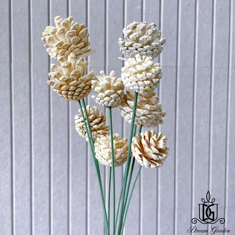 🇸🇬[SG Stock]Preserved Flowers Dried Flowers Dried Pine Cone Singapore Local Wholesalers Home Decoration/DIY/Wedding