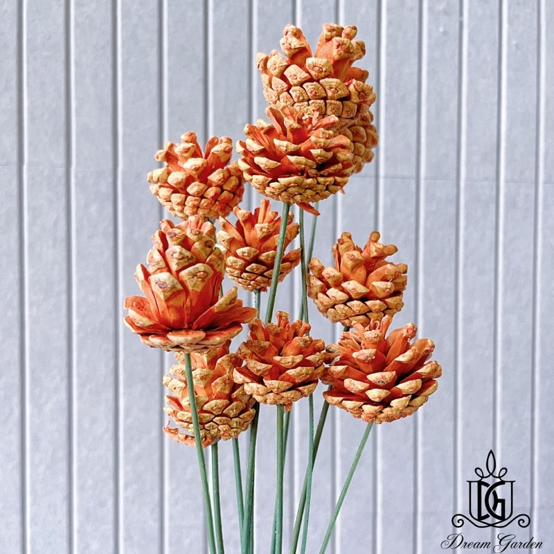 🇸🇬[SG Stock]Dried Flowers Dried Pine Cone Singapore Local Wholesalers Home Decoration/DIY/Wedding