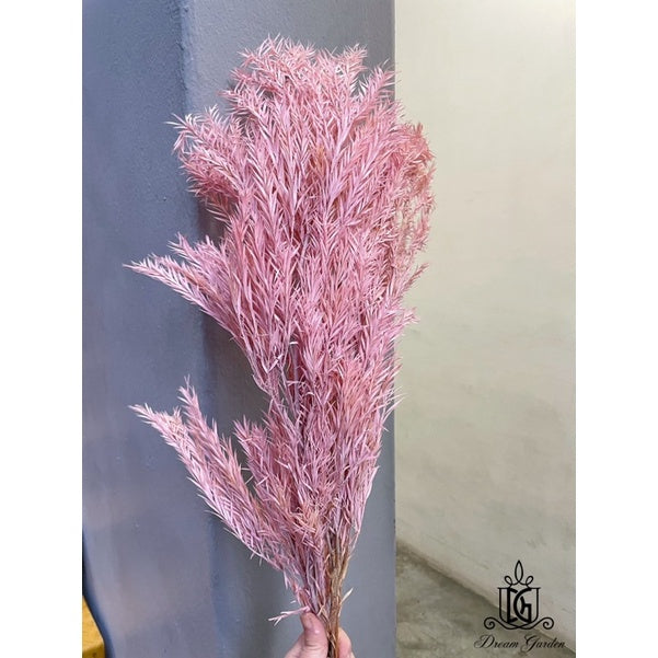 🇸🇬[SG Stock] SG Local Largest Wholesaler Preserved Melaleuca Bundle bracteata Suitable For Decoration/Wedding/DIY/Dome
