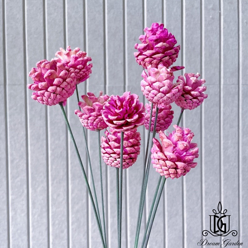 🇸🇬[SG Stock]Dried Flowers Dried Pine Cone Singapore Local Wholesalers Home Decoration/DIY/Wedding