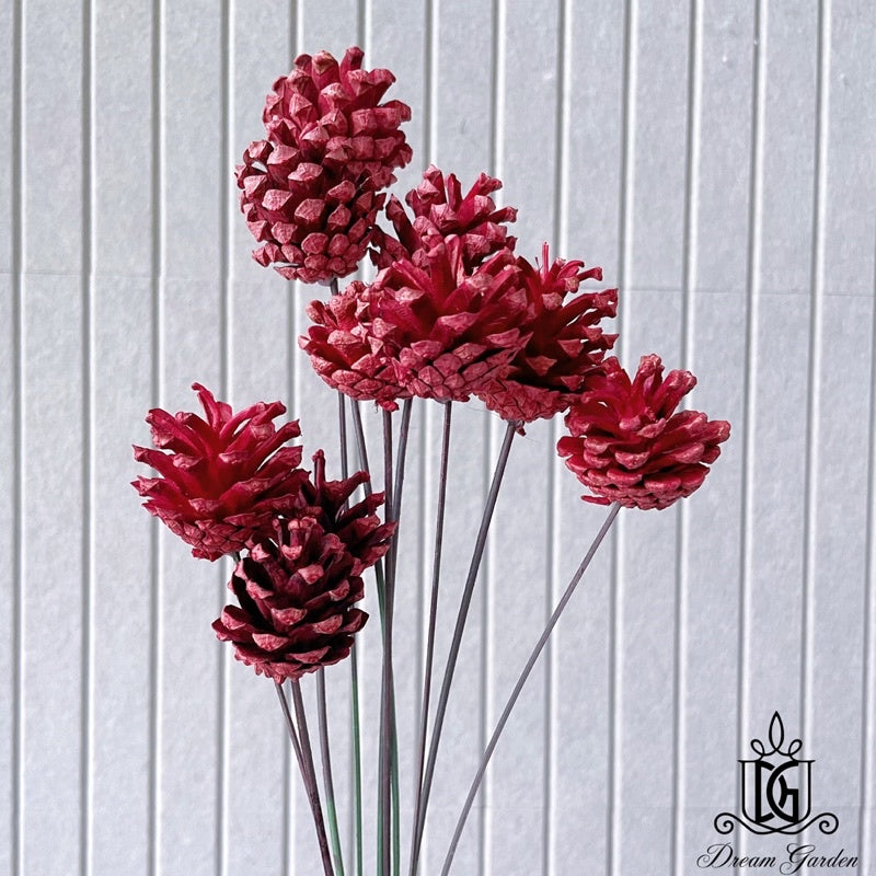 🇸🇬[SG Stock]Dried Flowers Dried Pine Cone Singapore Local Wholesalers Home Decoration/DIY/Wedding