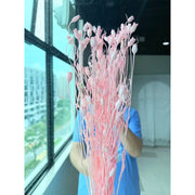 Grade A Preserved Japanese Bellflowers Preserved Flowers | DreamGarden SG