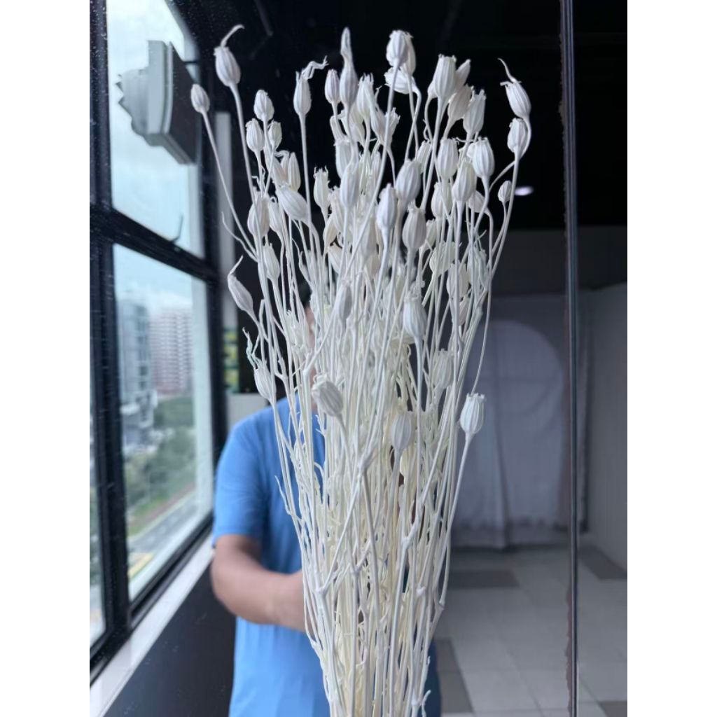 Grade A Preserved Japanese Bellflowers Preserved Flowers | DreamGarden SG