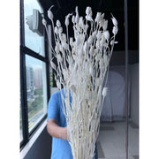 Grade A Preserved Japanese Bellflowers Preserved Flowers | DreamGarden SG