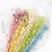 Grade A Preserved Japanese Bellflowers Preserved Flowers | DreamGarden SG