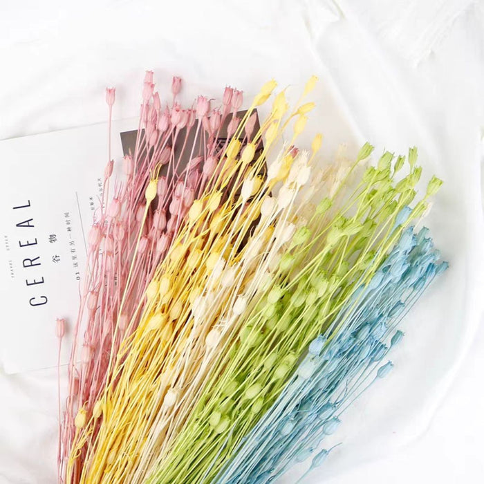 Grade A Preserved Japanese Bellflowers Preserved Flowers | DreamGarden SG