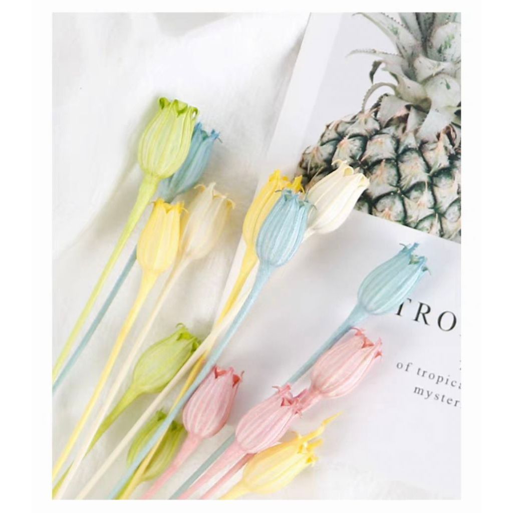 🇸🇬[SG Stock][Dream Garden]Grade A Preserved Japanese Bellflowers Preserved Flowers Home Decoration/DIY/Gifting