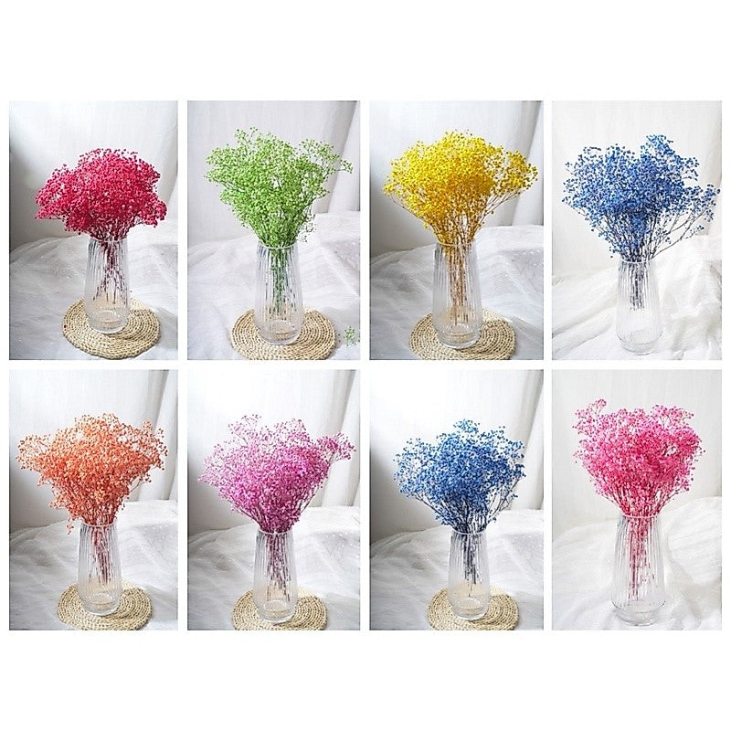 🇸🇬[SG Stock]Preserved Flowers Dried Flowers Preserved Baby Breath Singapore Local Florist/Home Decoration/DIY/Wedding