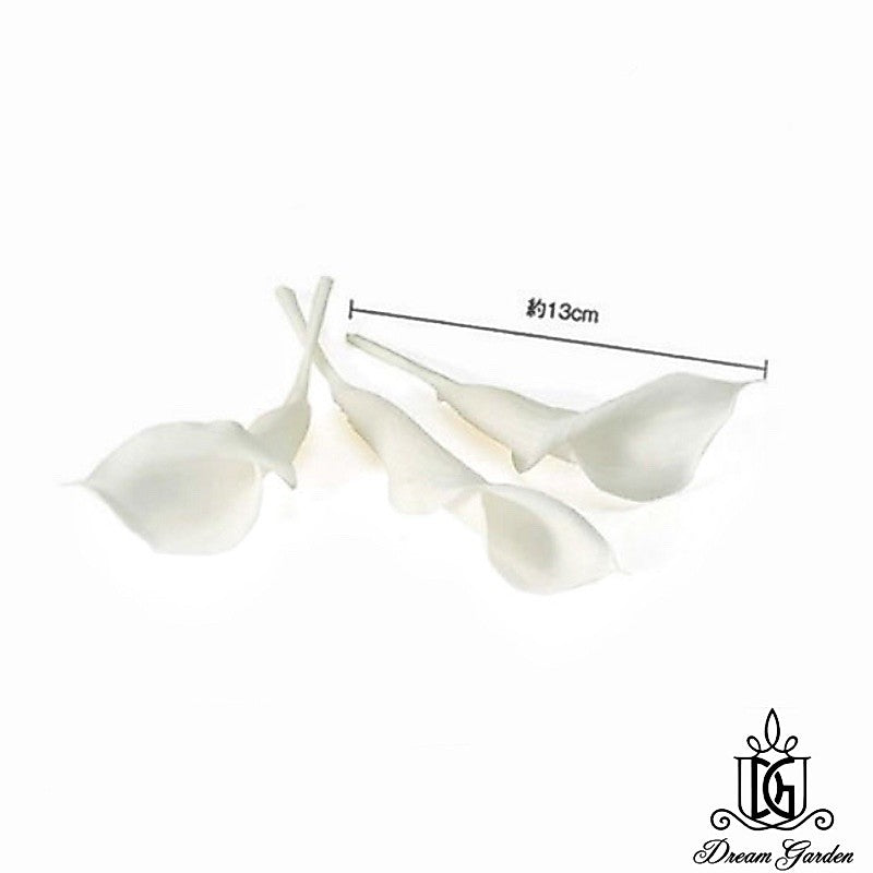 🇸🇬[SG Stock][Dream Garden] SG Local Preserved Calla Lily Preserved Flowers Suitable For Decoration/Wedding/DIY/Dome