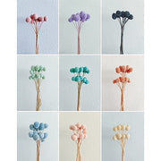Preserved Billy Buttons | DreamGarden SG