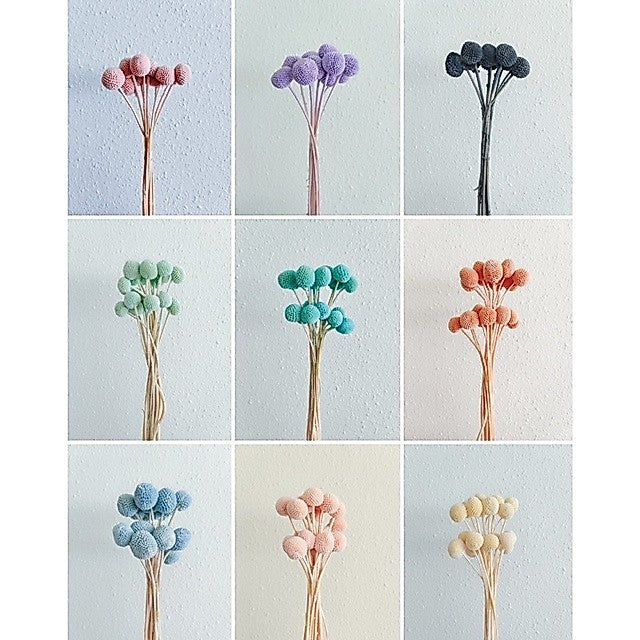 🇸🇬[SG Stock]Preserved Flowers Dried Flowers Preserved Billy Buttons Singapore Local Florist/Home Decoration/DIY/Wedding