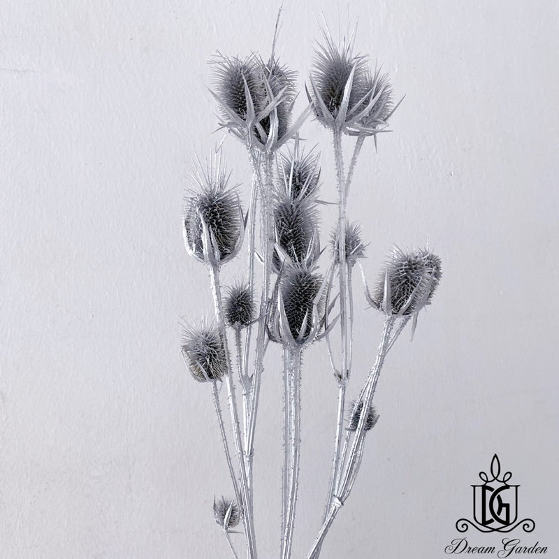 🇸🇬[SG Stock]Preserved Flowers Dried Flowers Dried Thistle Heads Singapore Local Wholesalers Home Decoration/DIY/Wedding