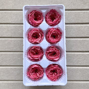 Grade A Preserved David Austin Rose 4cm-5cm Preserved | DreamGarden SG