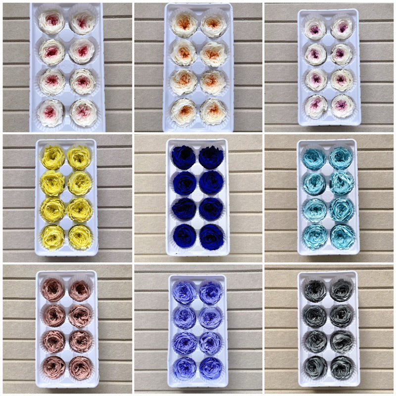 🇸🇬[SG Stock]Dream Garden Grade A Preserved David Austin Rose 4cm-5cm Preserved Garden Rose Preserved Flowers Austin