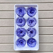 Grade A Preserved David Austin Rose 4cm-5cm Preserved | DreamGarden SG