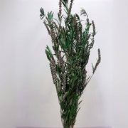 Preserved flower plant Buddha beads dried flower bouquet | DreamGarden SG