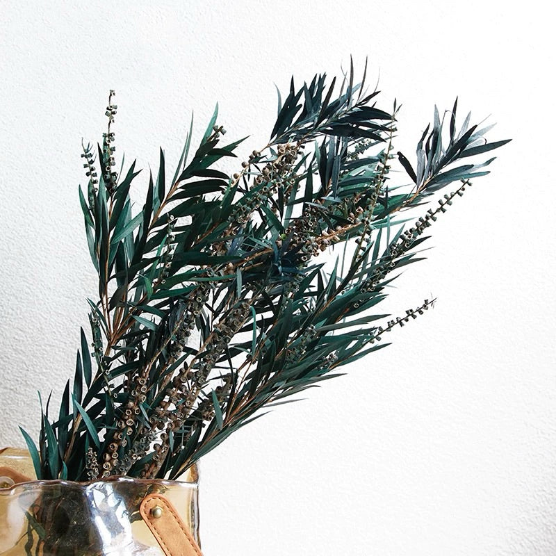 Preserved flower plant Buddha beads dried flower bouquet branches green leaves home flower arrangement decoration