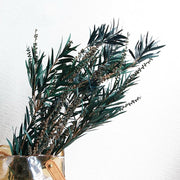 Preserved flower plant Buddha beads dried flower bouquet | DreamGarden SG